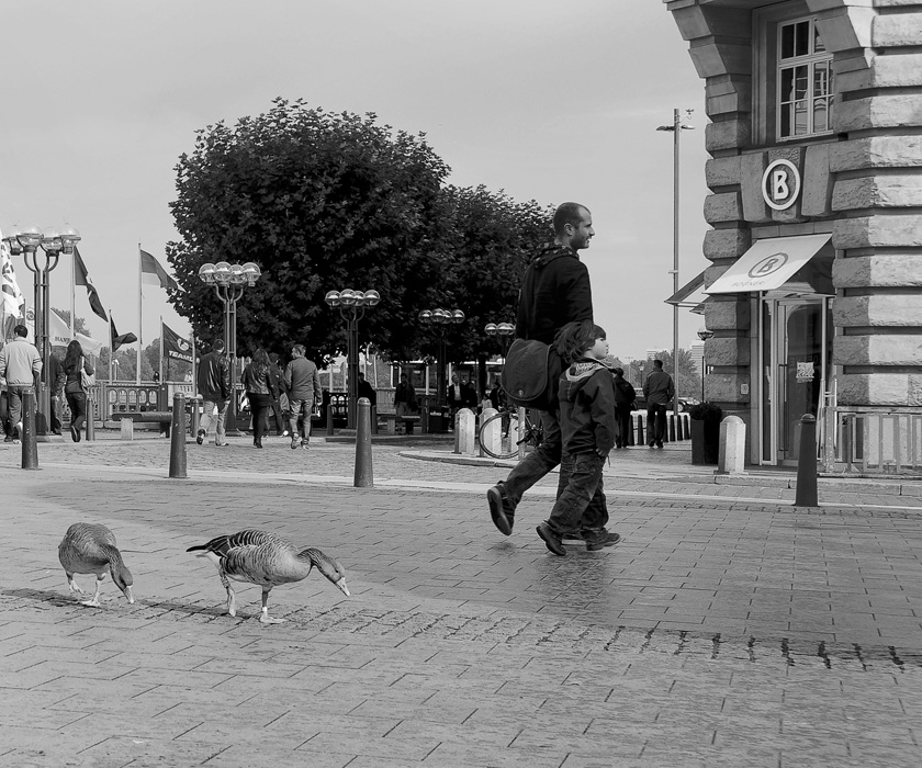 Городская жизнь
