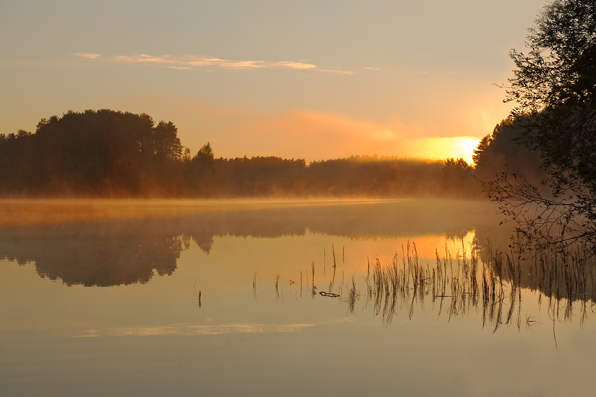 Пробуждение