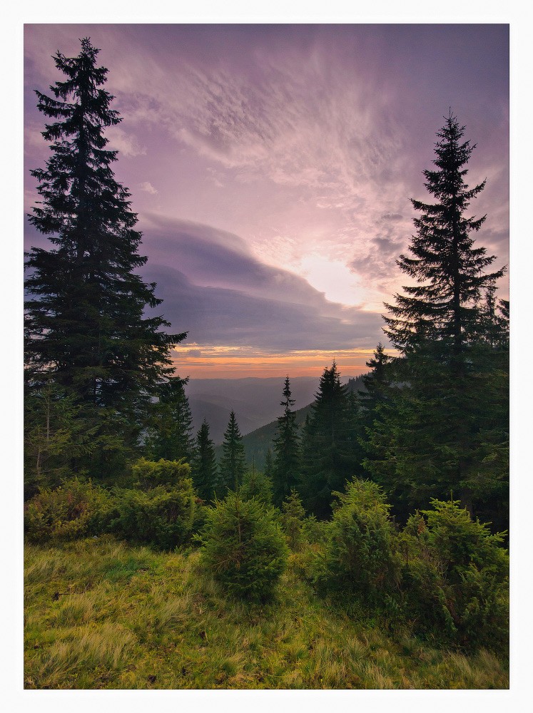 Лиловый рассвет