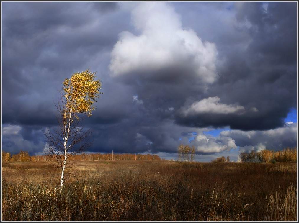 Последний лист срывала осень