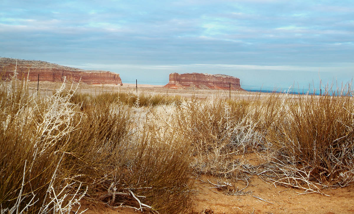 за колючкой