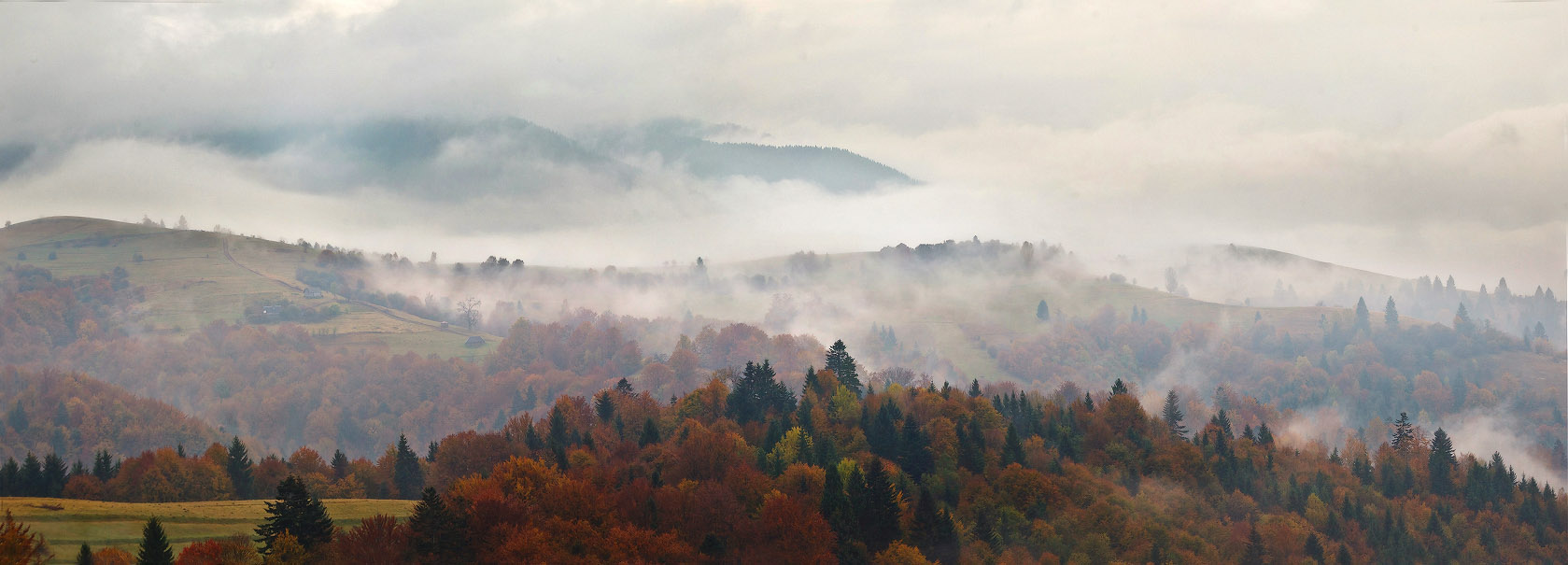 Я видел осень