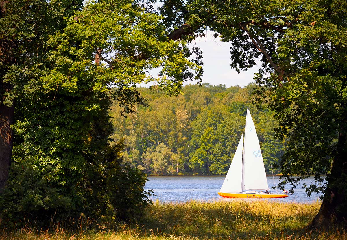 Летние видения