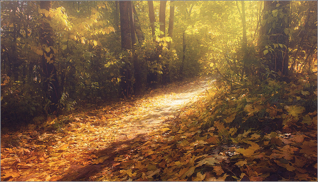 / Октябрь.Уходя к солнцу... /