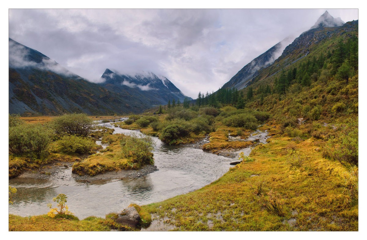 Алтайское лето