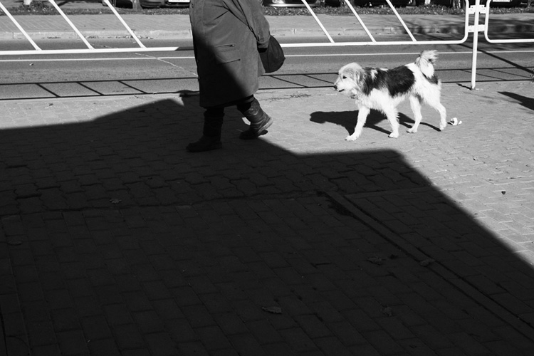 Придумайте название