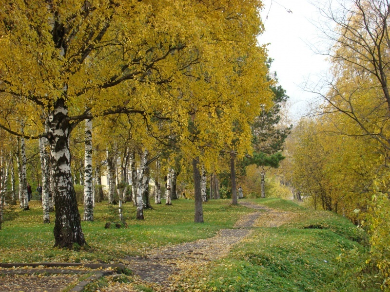 Краски осени