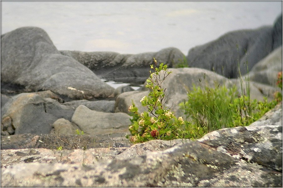 северное настроение