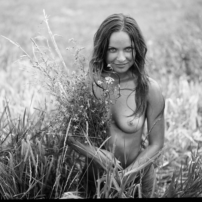 Полевые цветы