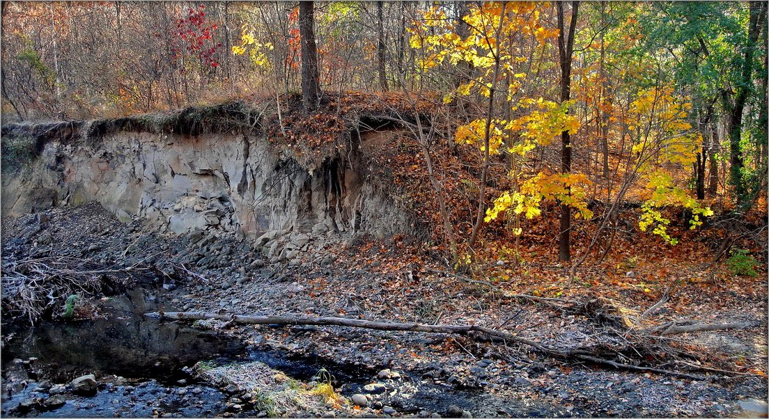последняя осень
