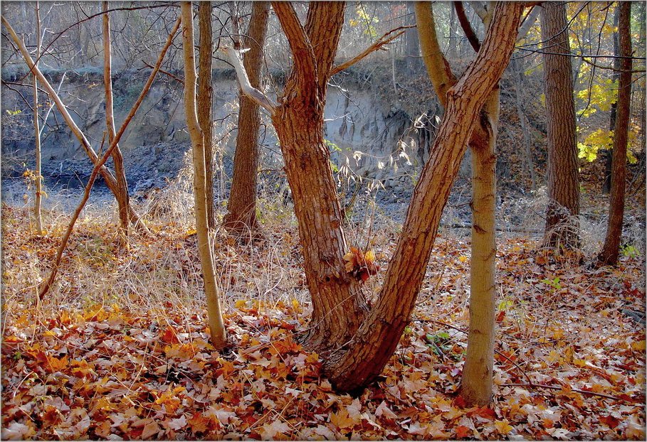 это снова "индейское лето"