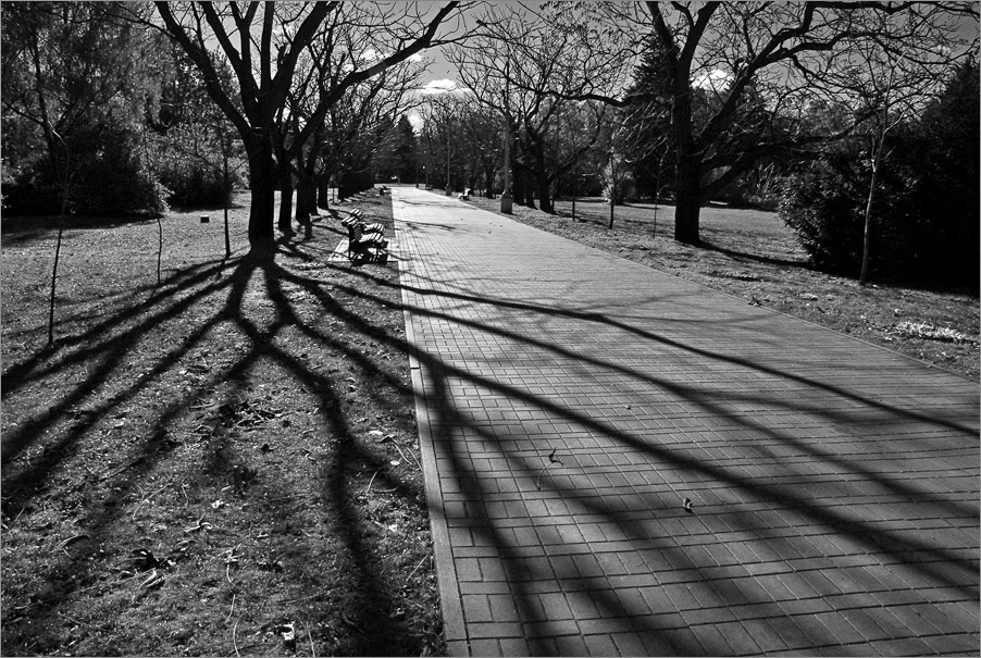 паутина осенних вен