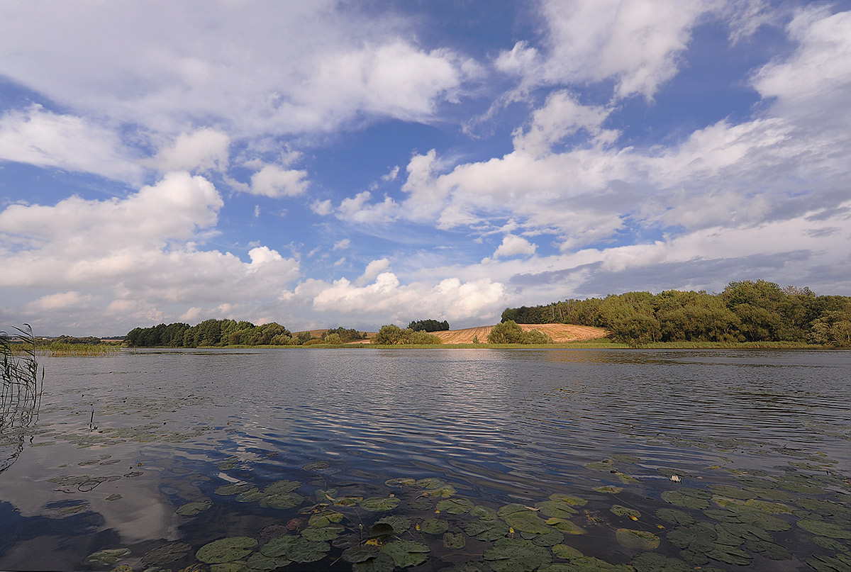Поступь  осени
