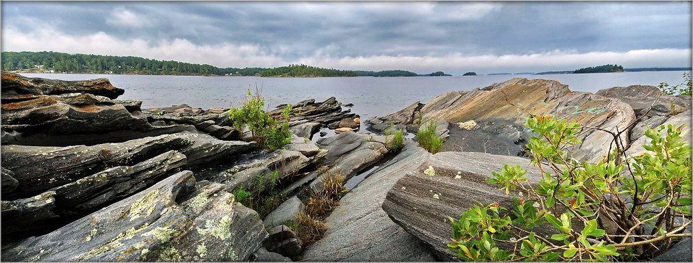 тварам на поўнач