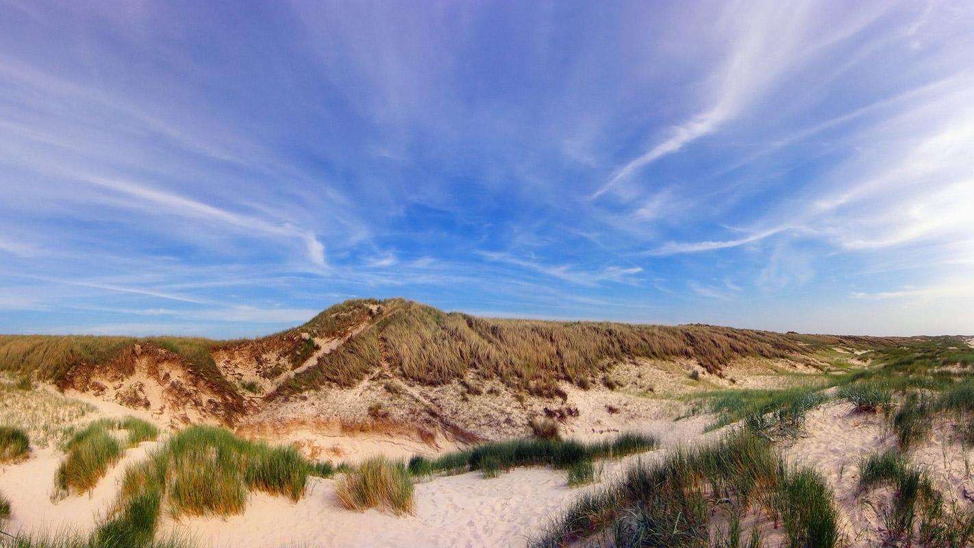 Монголия в Голландии