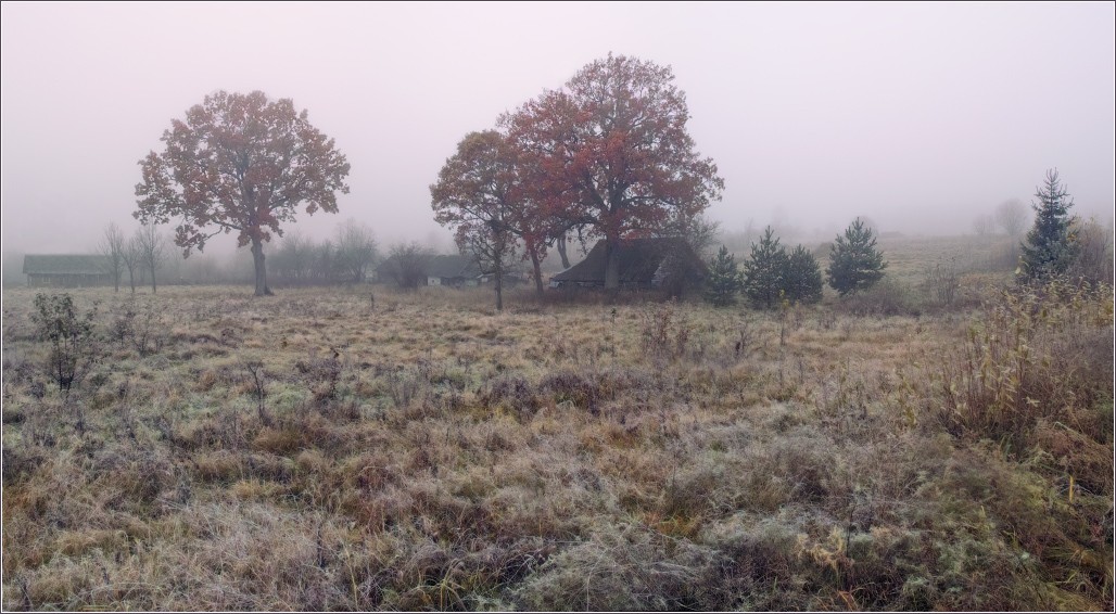 / Туман осеннего рассвета /