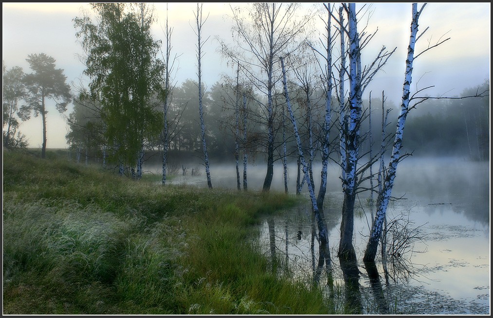 Саврасово просыпается