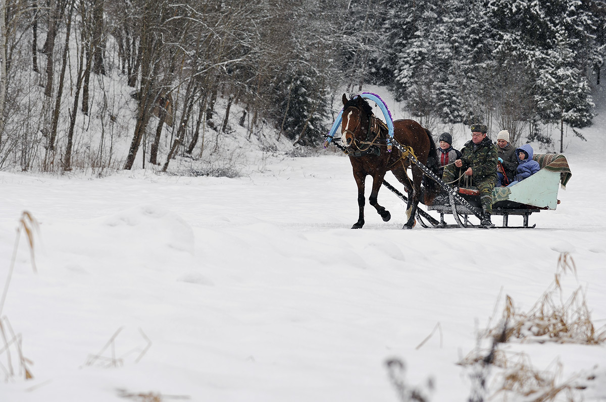 Про  лесника  и  скрип  саней