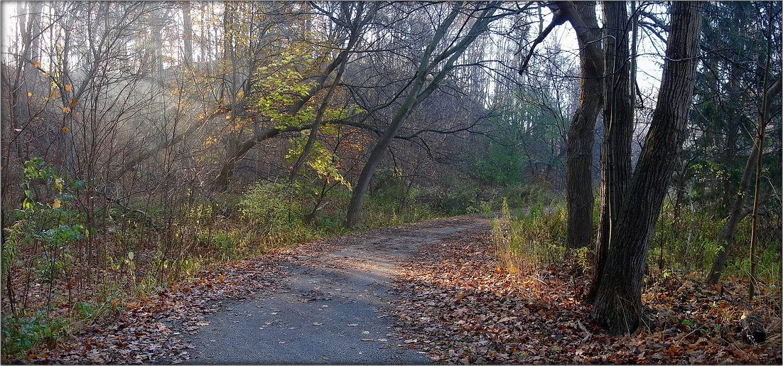 а когда по осени клены листья сбросили...