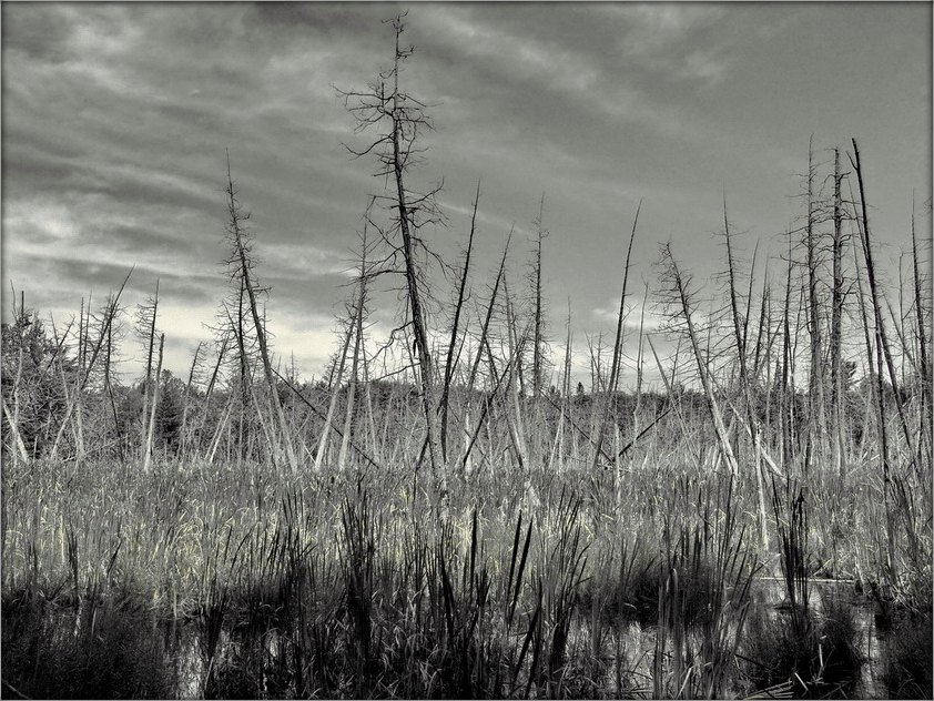 недзе на Антарыйшчыне...