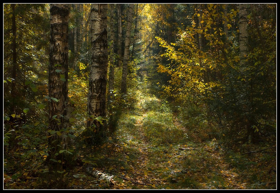 Старая дорога