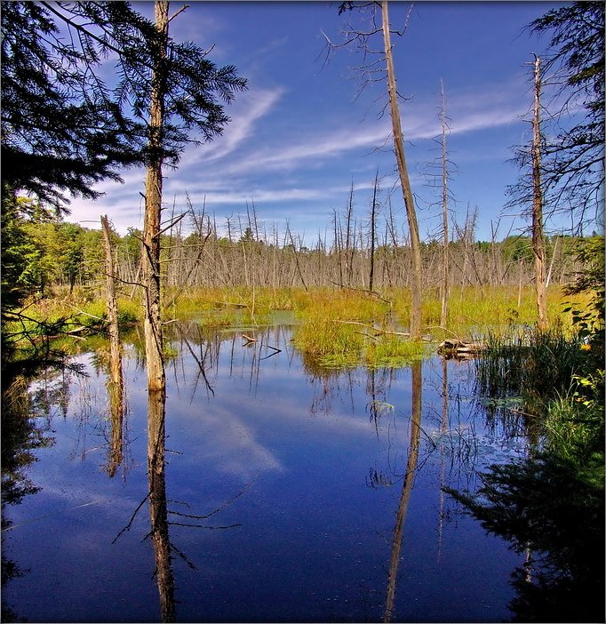 недзе на Антарыйшчыне... 2