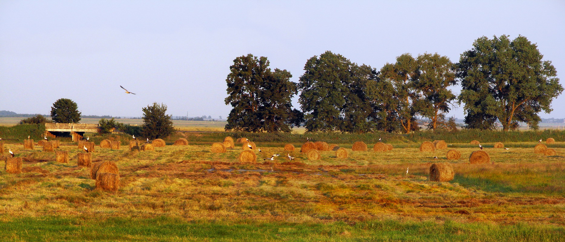 Перед отлетом....