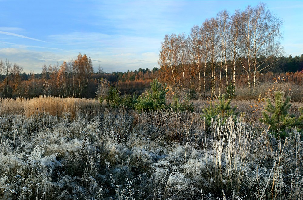 Природа осенью дышала.