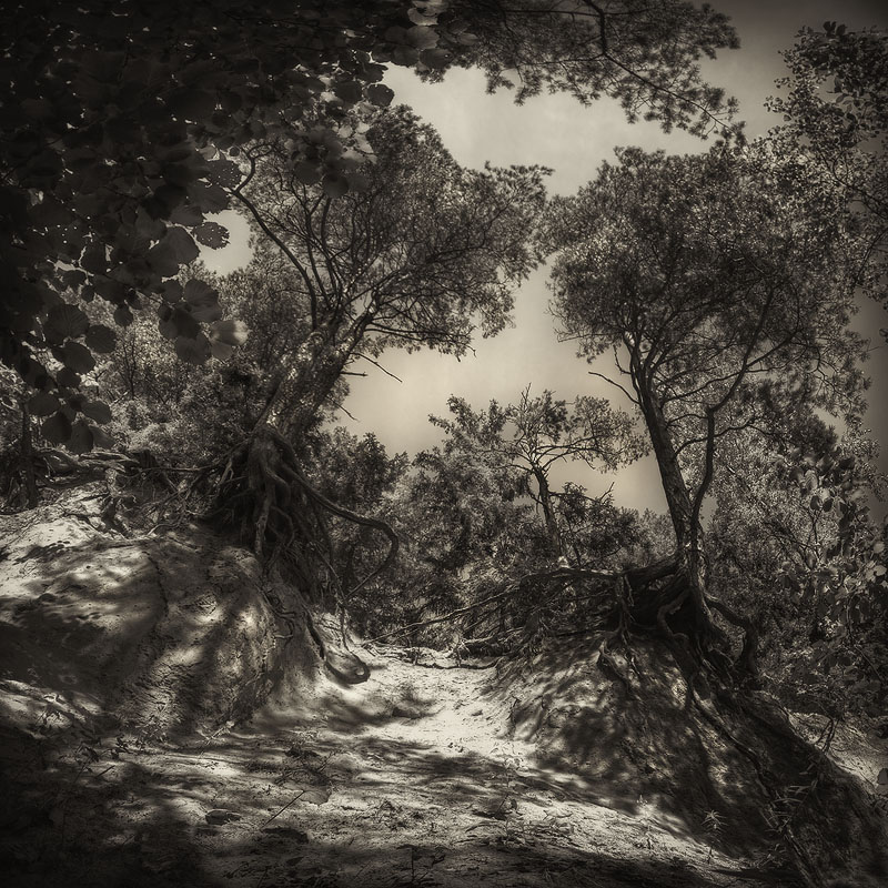 |   Оголенные   |