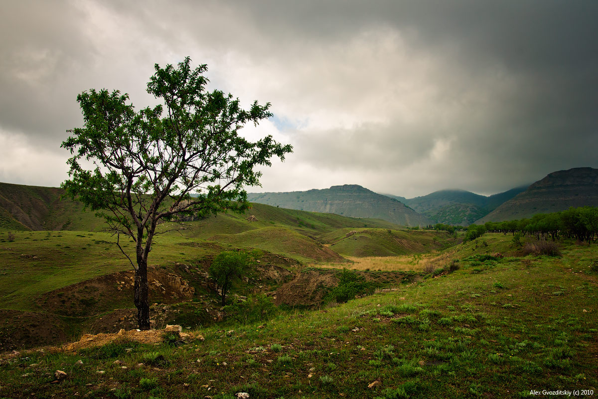 Хмурая Солнечная долина
