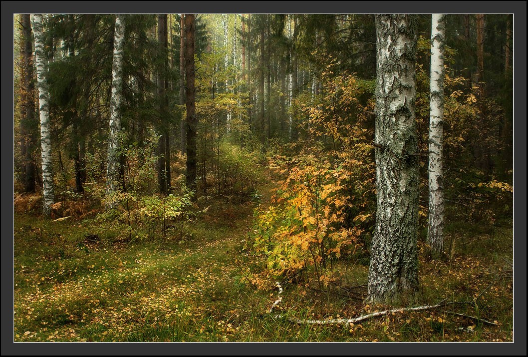 Куда ж ты уведешь..