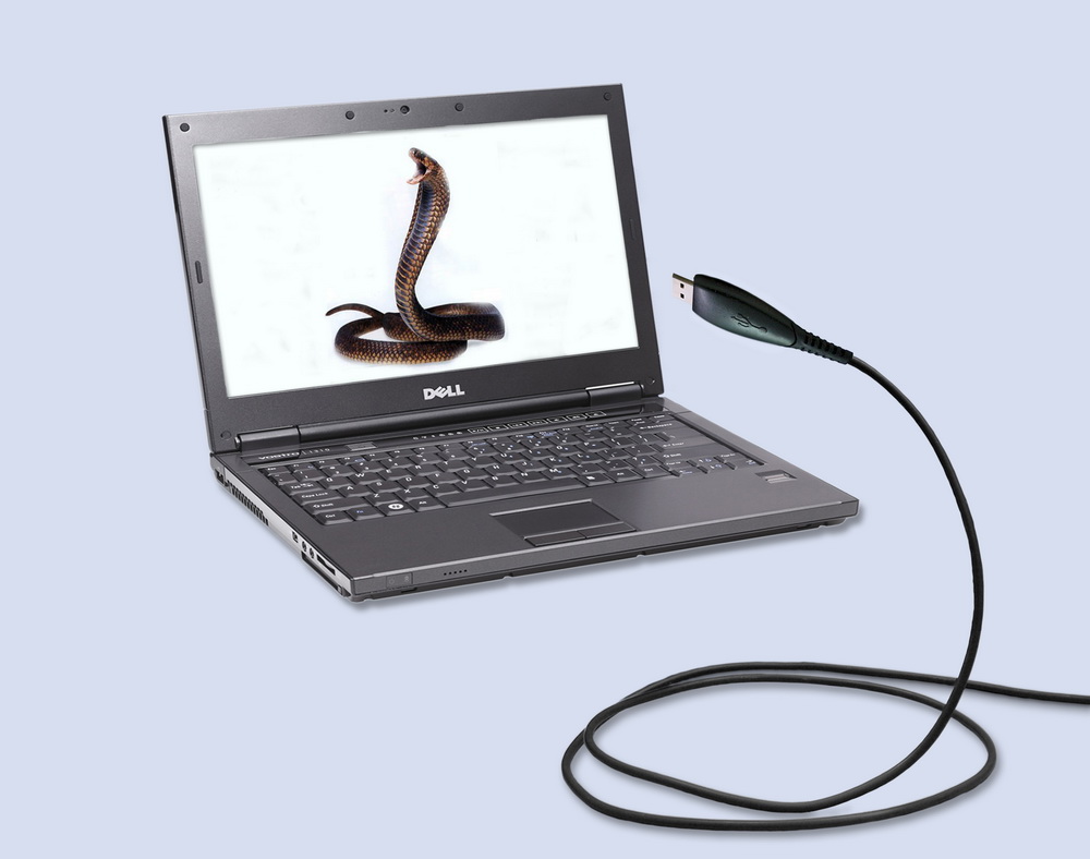 ЛЮБОПЫТСТВО