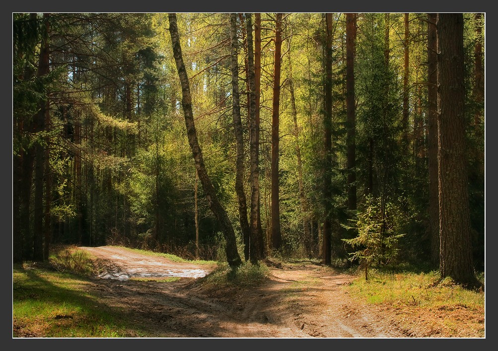 Почти полдень