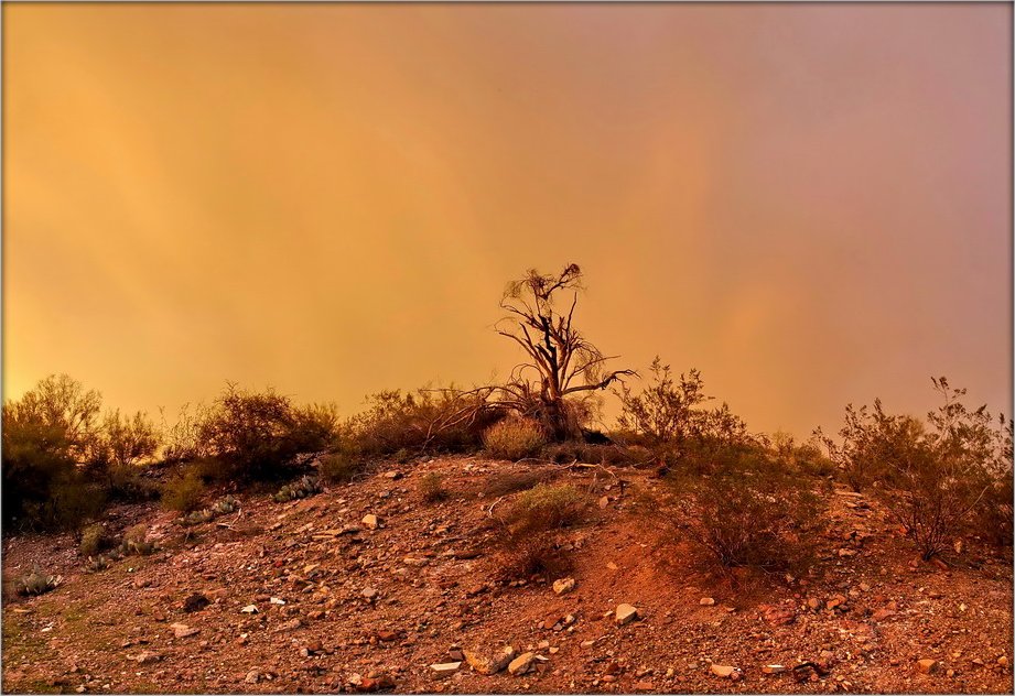 фарбы Арызоны