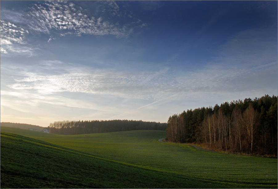 вечерний свет