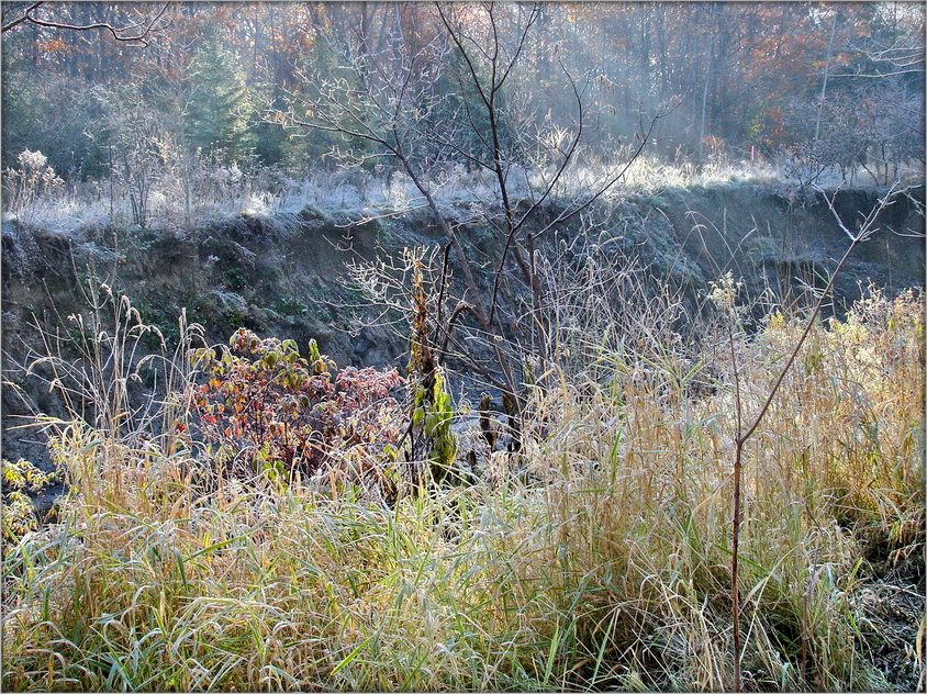 восені апошняя палітра