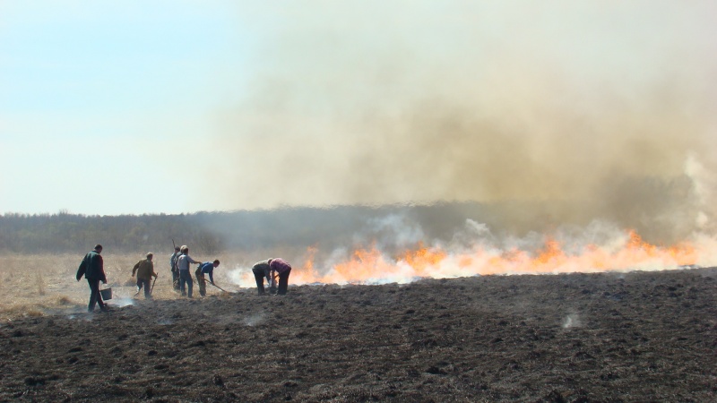 Первомайский пожар