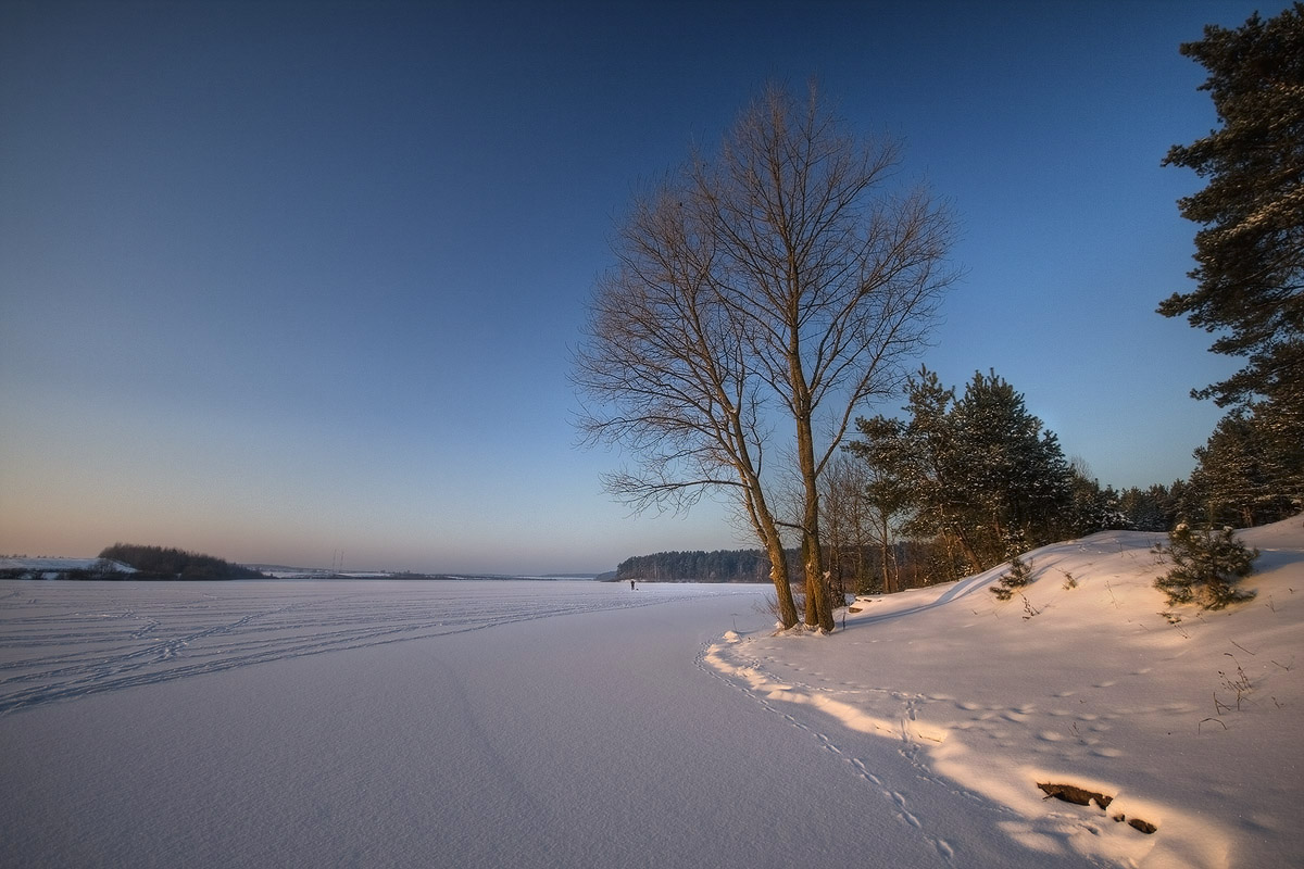 |   Следы на Волме   |