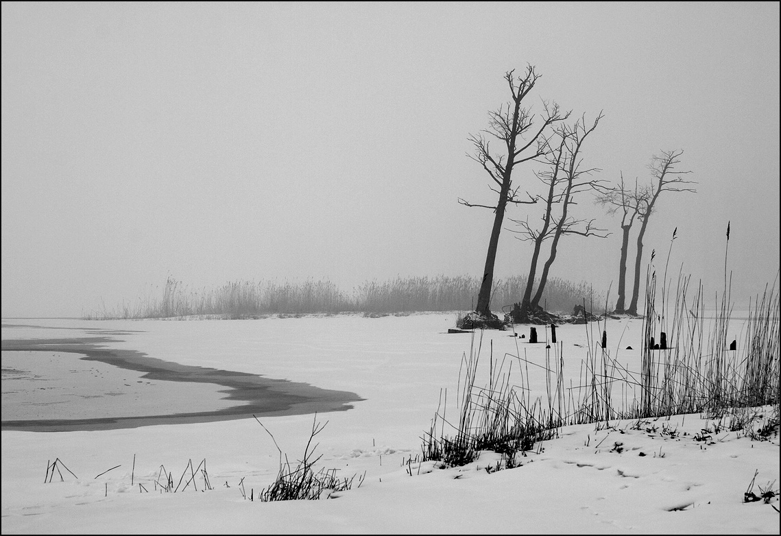 Графика тумана