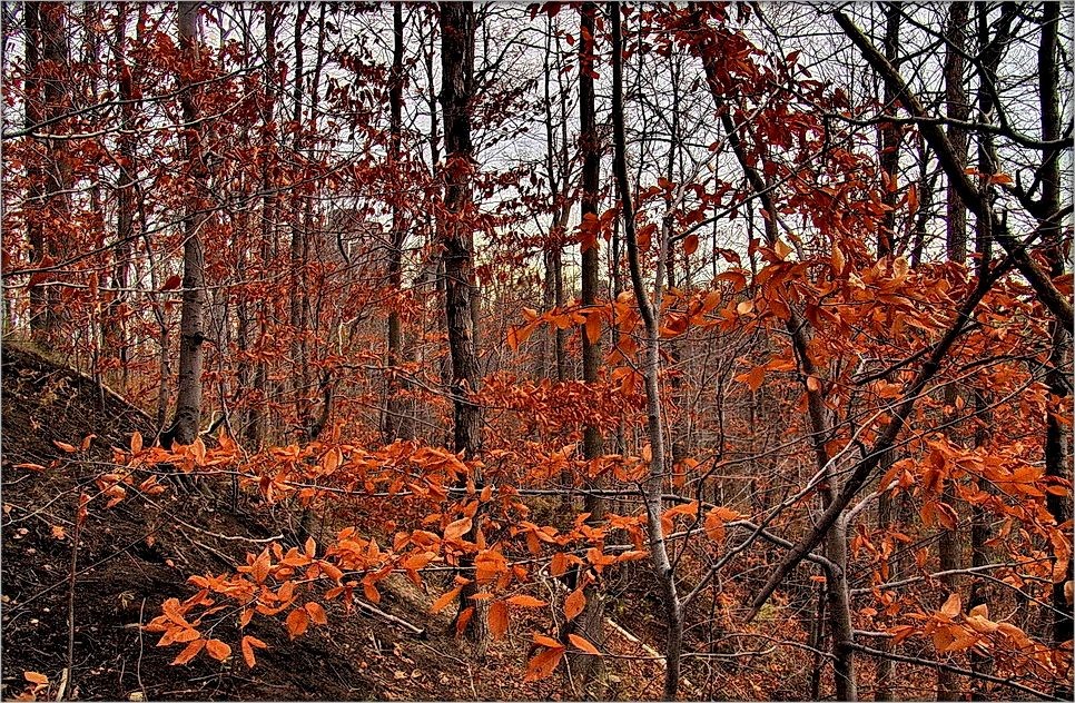 апошнім трываецца граб