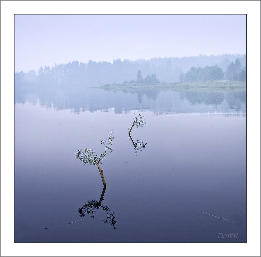 Утренний дуэт