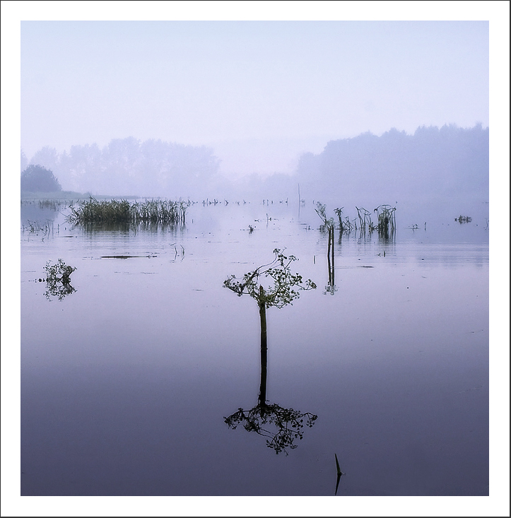 Танцующая в тумане