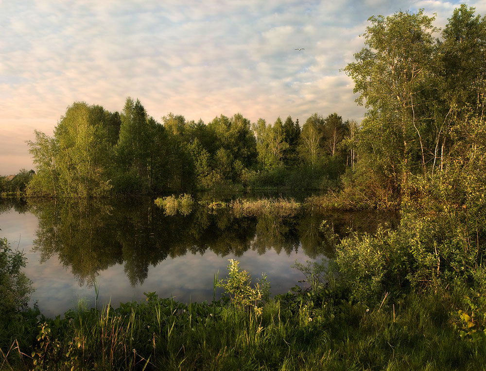 Спокойствие летнего вечера