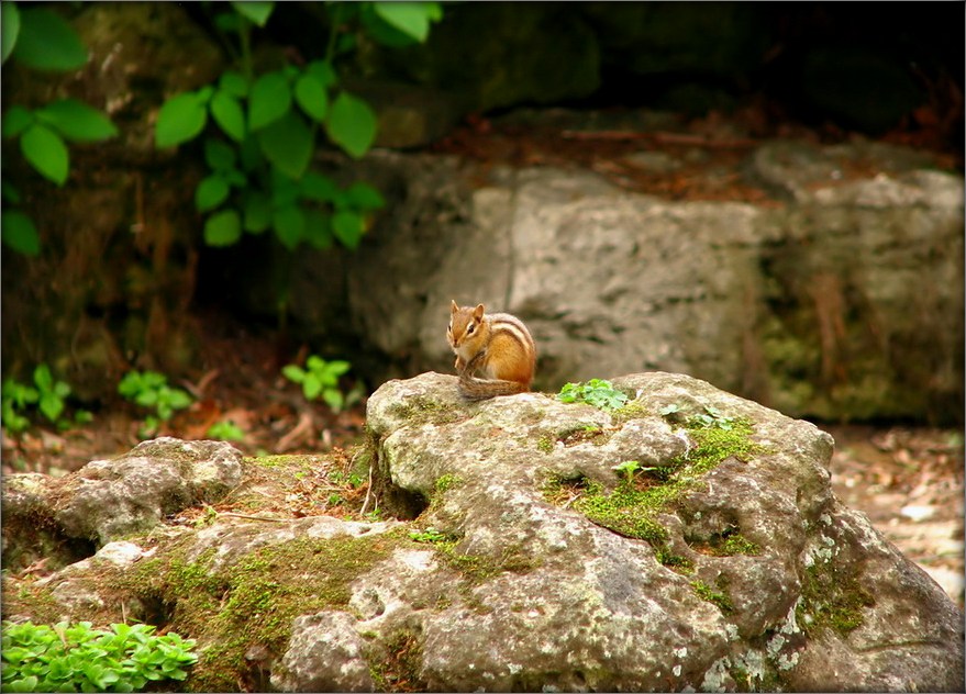 ...а я маленький такой