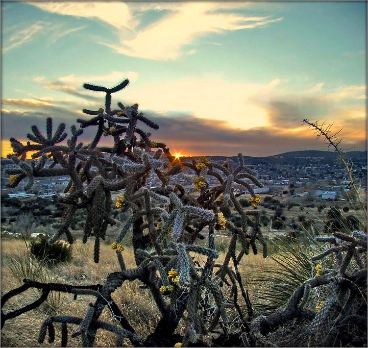 серебро Мексики