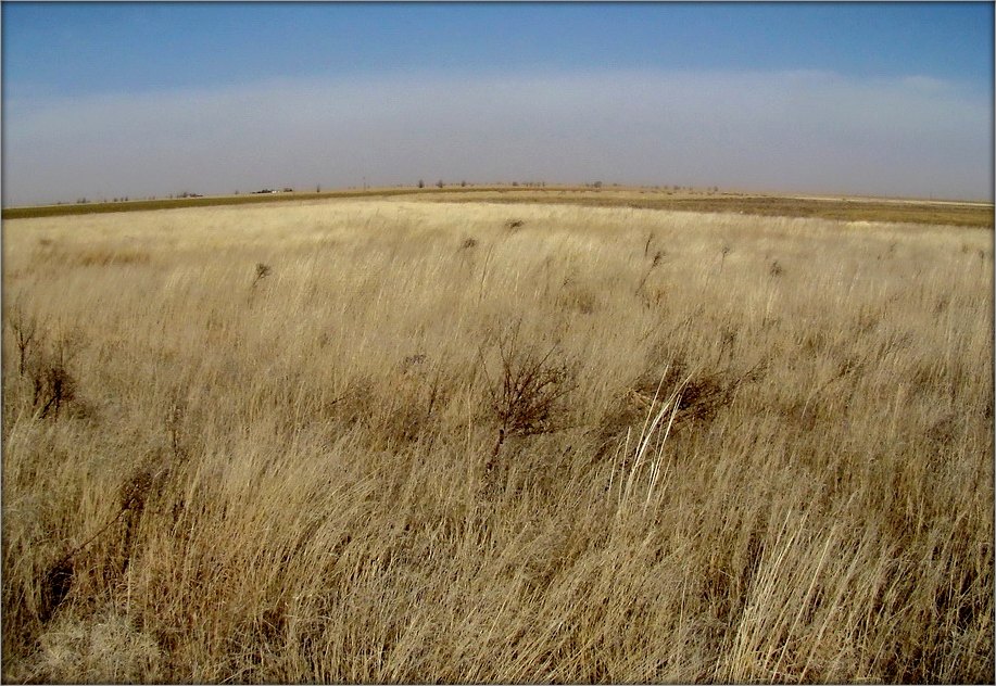 белое солнце Техаса   ..2