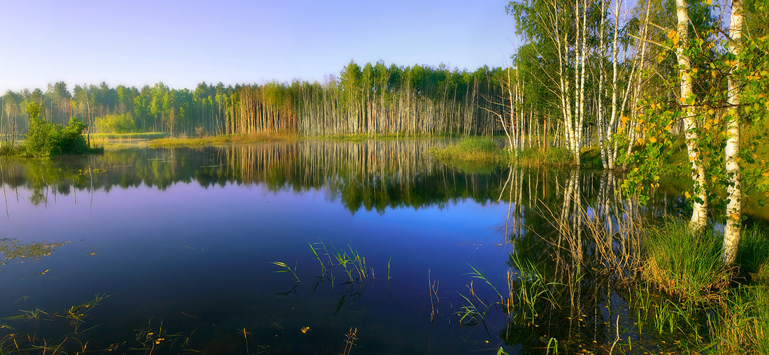 Голубое утро