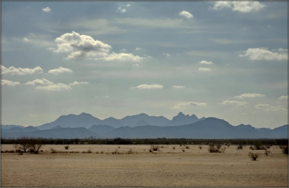 Арызоны блакітны пагляд