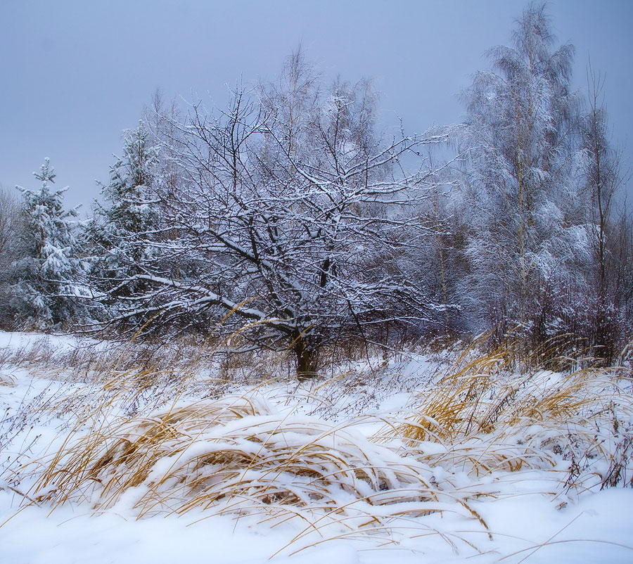 Зимняя графика