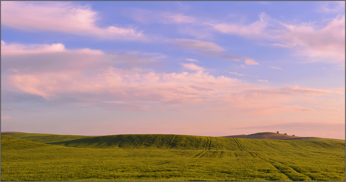 Про весеннее  утро